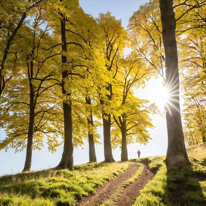 Baldr : Le Dieu de la Lumière et ses Mystères