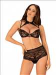 Photo vendeur de lingerie n°392 zone Val de Marne par Les dessous de Lise