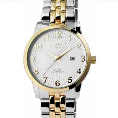 Exemple vendeur de montres n°573 zone Puy de Dôme par bruno